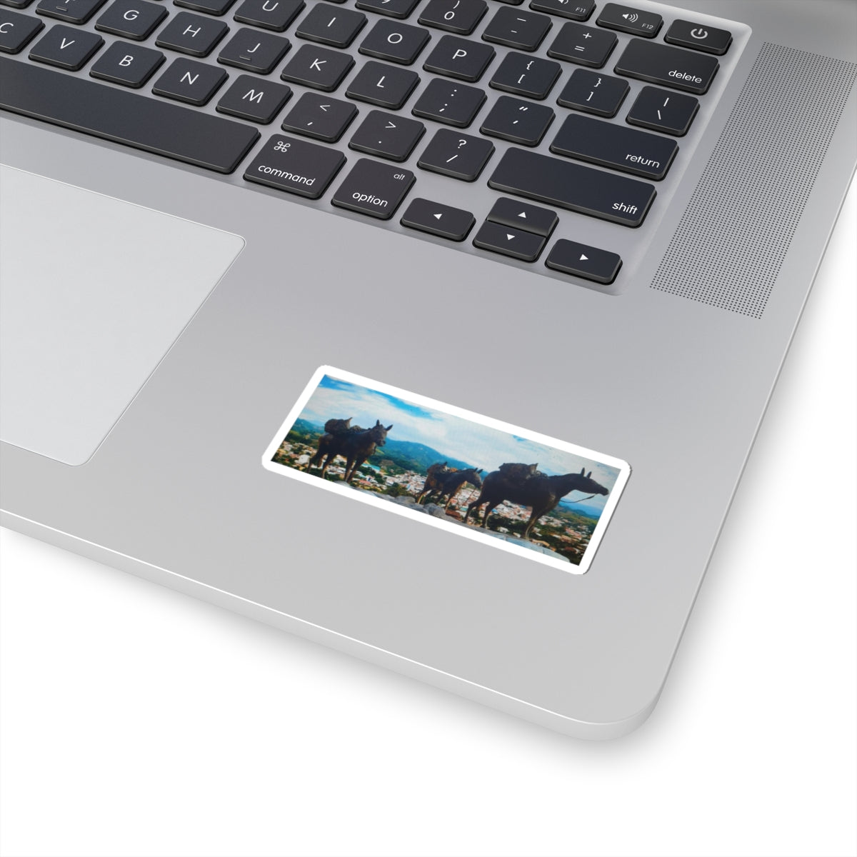 Mountain Donkeys Scenic Kiss-Cut Sticker